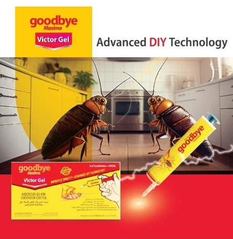 Dutch & Habro Goodbye Maxima Victor Gel, Insecticide Gel 25g - Al Kabayel Discount CentreDutch & Habro Goodbye Maxima Victor Gel, Insecticide Gel 25gHousehold CleaningDUTCH & HABROAl Kabayel Discount Centre