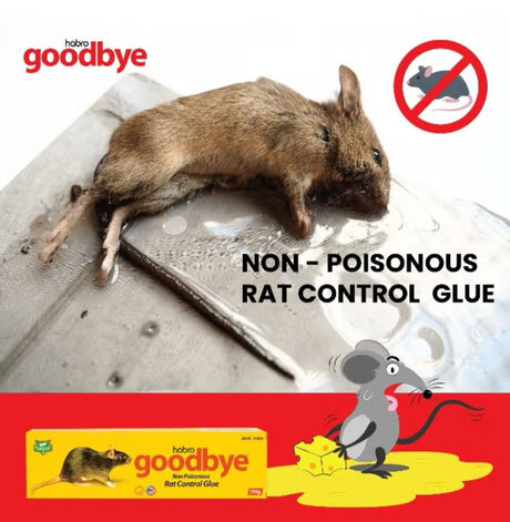 Dutch & Habro Goodbye Rat Control Glue (135g) - Al Kabayel Discount CentreDutch & Habro Goodbye Rat Control Glue (135g)Household CleaningDUTCH & HABROAl Kabayel Discount Centre