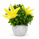 Artificial Lily-Style Flower Plant Ceramic Pot Yellow – 23cm