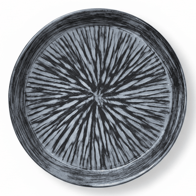 Elegant Grey & Black Ceramic Round Plate 20cm | Starburst Radial Design - Al Kabayel Discount CentreElegant Grey & Black Ceramic Round Plate 20cm | Starburst Radial DesignPlatesAKDCAl Kabayel Discount Centre