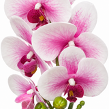 Artificial Orchid Flower Plant with Plastic Pot Pink & White – 42cm