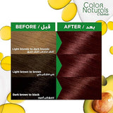 Garnier Color Naturals, 4.6 Burgundy , Permanent Hair Color - Al Kabayel Discount CentreGarnier Color Naturals, 4.6 Burgundy , Permanent Hair ColorHair CareGARNIERAl Kabayel Discount Centre