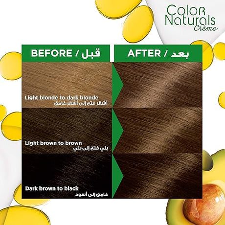 Garnier Color Naturals 6 dark blonde Haircolor - Al Kabayel Discount CentreGarnier Color Naturals 6 dark blonde HaircolorHair CareGARNIERAl Kabayel Discount Centre