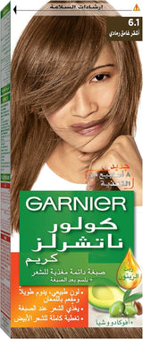 Garnier Color Naturals, 6.1 Dark Ash Blonde, Permanent Hair Color - Al Kabayel Discount CentreGarnier Color Naturals, 6.1 Dark Ash Blonde, Permanent Hair ColorHair CareGARNIERAl Kabayel Discount Centre