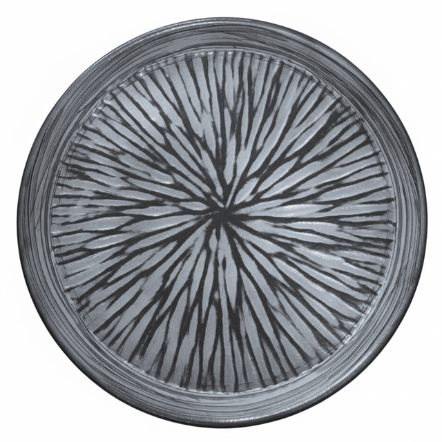 Grey & Black Elegant Ceramic Round Plate — 23cm | Starburst Radial Design - Al Kabayel Discount CentreGrey & Black Elegant Ceramic Round Plate — 23cm | Starburst Radial DesignPlatesAKDCAl Kabayel Discount Centre
