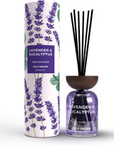GULF ORCHID Reed Diffuser - Lavender & Eucalyptus 150ml - Al Kabayel Discount CentreGULF ORCHID Reed Diffuser - Lavender & Eucalyptus 150mlHome FragrancesGULF ORCHIDAl Kabayel Discount Centre