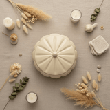 Hamid Cream Ceramic Candy Box with Lid | Scalloped Pumpkin Design | 10.25cm - Al Kabayel Discount CentreHamid Cream Ceramic Candy Box with Lid | Scalloped Pumpkin Design | 10.25cmJars & Food SaversHAMIDAl Kabayel Discount Centre