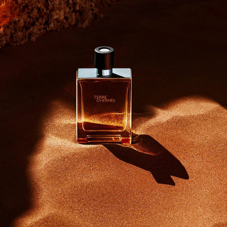 Hermes Terre D'Hermes EDT for Men - 100ml - Al Kabayel Discount CentreHermes Terre D'Hermes EDT for Men - 100mlPerfumesHERMESAl Kabayel Discount Centre