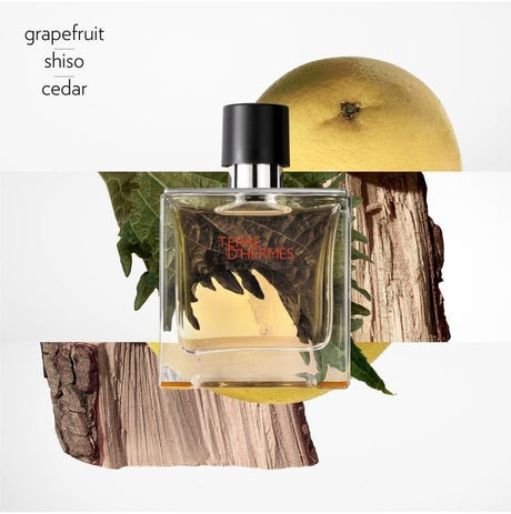 Hermes Terre D'Hermes Parfum for Men - 75ml - Al Kabayel Discount CentreHermes Terre D'Hermes Parfum for Men - 75mlPerfumesHERMESAl Kabayel Discount Centre