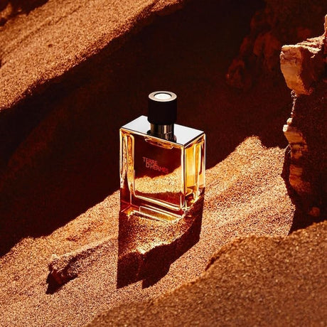 Hermes Terre D'Hermes Parfum for Men - 75ml - Al Kabayel Discount CentreHermes Terre D'Hermes Parfum for Men - 75mlPerfumesHERMESAl Kabayel Discount Centre