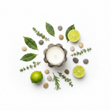 Home Fragrance Bay Leaf & Lime Refreshing Aromatic Candle with Glass Cup – 12 cm - Al Kabayel Discount CentreHome Fragrance Bay Leaf & Lime Refreshing Aromatic Candle with Glass Cup – 12 cmHome FragrancesHOME FRAGRANCEAl Kabayel Discount Centre