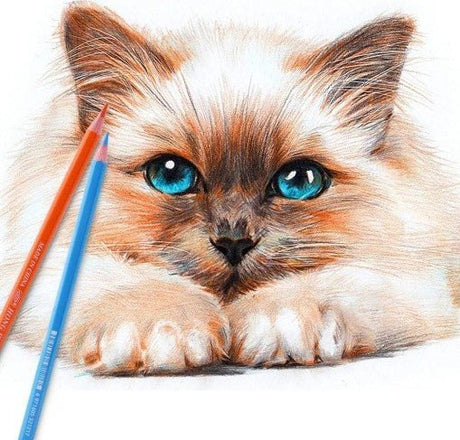 Hong Wei 24pcs Color Pencils, Advanced Color Hexagon Pencil, HW - CP - 2401GA - Al Kabayel Discount CentreHong Wei 24pcs Color Pencils, Advanced Color Hexagon Pencil, HW - CP - 2401GAColor PencilsHONG WEIAl Kabayel Discount Centre
