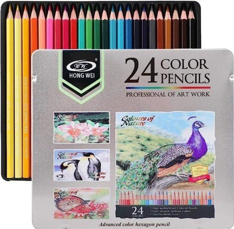 Hong Wei 24pcs Color Pencils, Advanced Color Hexagon Pencil, HW - CP - 2401GA - Al Kabayel Discount CentreHong Wei 24pcs Color Pencils, Advanced Color Hexagon Pencil, HW - CP - 2401GAColor PencilsHONG WEIAl Kabayel Discount Centre