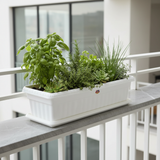 Family Plastic Winny Rectangular Planter Pot with Tray - 60×20 cm - White / Brown