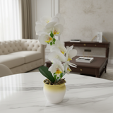 Artificial Phalaenopsis Orchid Plant in Plastic Pot - 36cm - White / Orange / Purple / Coral