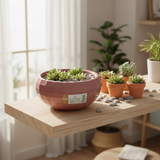 Karasu Geometric Plastic Planter Bowl - 0.7L - Rose / Grey