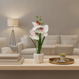 Artificial White Orchid Plant in Chalk Speckled Pot - 35cm