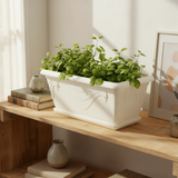 Family Plastic Winny Rectangular Planter Pot with Tray – 35x20cm