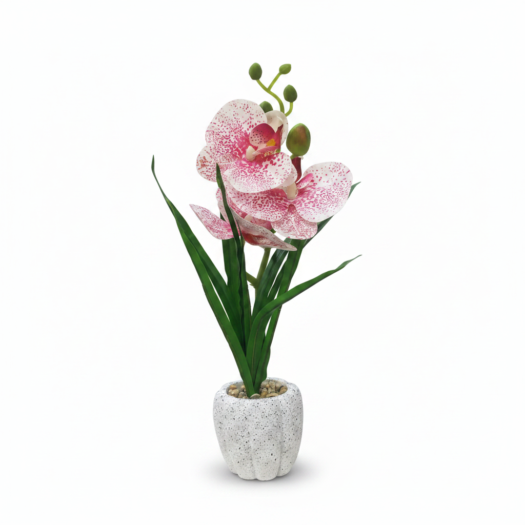 Pink & White Artificial Phalaenopsis Orchid Plant with Chalk Plastic Pot - 35cm