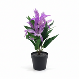 Marcolo Artificial Bromeliad Bonsai Plant with Black Plastic Pot - 28cm - 	Pink / Purple