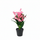 Marcolo Artificial Bromeliad Bonsai Plant with Black Plastic Pot - 28cm - 	Pink / Purple
