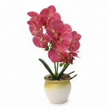 Artificial Phalaenopsis Orchid Plant in Plastic Pot - 36cm - White / Orange / Purple / Coral