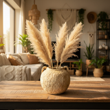 Beige Ceramic Vase with Dual Handles | Rustic Textured Finish | Round Bulbous Body | Home Décor Accent Piece | 20 × 13 cm