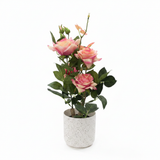 Marcolo Pink Artificial Rose Bonsai Plant with Plastic Pot - 40cm