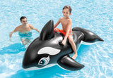 Intex Whale Ride - On Inflatable Pool Float | 193×119 cm | Ages 3+ - Al Kabayel Discount CentreIntex Whale Ride - On Inflatable Pool Float | 193×119 cm | Ages 3+Pools & waterplay toysINTEXAl Kabayel Discount Centre