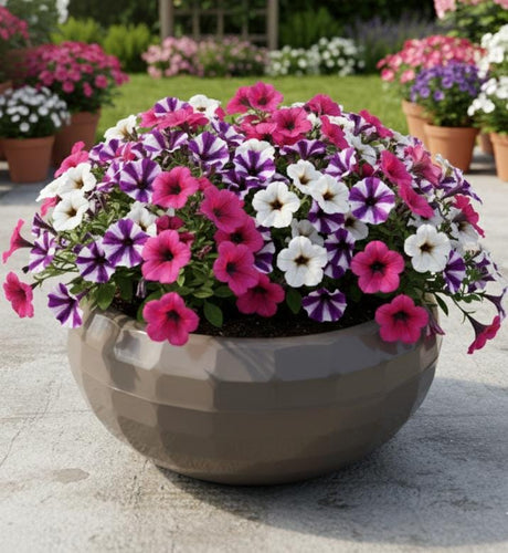 KARASU Large 4.2L Brown Plastic Plant Pot – Strong and Spacious Decorative Planter for Garden Plants, Shrubs, or Indoor Corners - Al Kabayel Discount CentreKARASU Large 4.2L Brown Plastic Plant Pot – Strong and Spacious Decorative Planter for Garden Plants, Shrubs, or Indoor CornersFlower/Plant PotsKARASUAl Kabayel Discount Centre