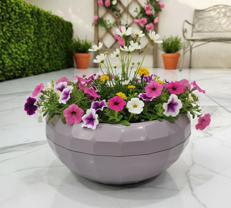 KARASU Medium 2L Purple Plastic Plant Pot – Stylish and Durable Decorative Planter for Indoor Plants, Office Desks, or Outdoor Gardens - Al Kabayel Discount CentreKARASU Medium 2L Purple Plastic Plant Pot – Stylish and Durable Decorative Planter for Indoor Plants, Office Desks, or Outdoor GardensFlower/Plant PotsKARASUAl Kabayel Discount Centre