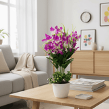 Lavender & White Artificial Orchid Flower Plant | White Plastic Vase | 38cm - Al Kabayel Discount CentreLavender & White Artificial Orchid Flower Plant | White Plastic Vase | 38cmArtificial FloraAKDCAl Kabayel Discount Centre