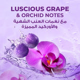 LUX Refreshing Body Wash, Sparkling Grape, 30H Fragrance, with Bubbly Texture, 700ml - Al Kabayel Discount CentreLUX Refreshing Body Wash, Sparkling Grape, 30H Fragrance, with Bubbly Texture, 700mlBodywashLUXAl Kabayel Discount Centre
