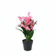 Marcolo Artificial Bromeliad Bonsai Plant with Black Plastic Pot - 28cm - Pink / Purple - Al Kabayel Discount CentreMarcolo Artificial Bromeliad Bonsai Plant with Black Plastic Pot - 28cm - Pink / PurpleArtificial FloraMARCOLAAl Kabayel Discount Centre