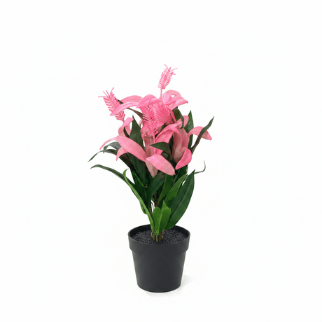 Marcolo Artificial Bromeliad Bonsai Plant with Black Plastic Pot - 28cm - Pink / Purple - Al Kabayel Discount CentreMarcolo Artificial Bromeliad Bonsai Plant with Black Plastic Pot - 28cm - Pink / PurpleArtificial FloraMARCOLAAl Kabayel Discount Centre