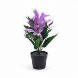 Marcolo Artificial Bromeliad Bonsai Plant with Black Plastic Pot - 28cm - Pink / Purple - Al Kabayel Discount CentreMarcolo Artificial Bromeliad Bonsai Plant with Black Plastic Pot - 28cm - Pink / PurpleArtificial FloraMARCOLAAl Kabayel Discount Centre
