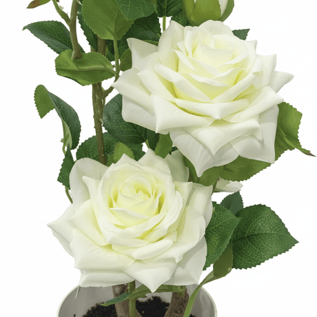 Marcolo Artificial White Rose Bonsai Plant with Speckled Plastic Pot - 40cm - Al Kabayel Discount CentreMarcolo Artificial White Rose Bonsai Plant with Speckled Plastic Pot - 40cmArtificial FloraMARCOLAAl Kabayel Discount Centre