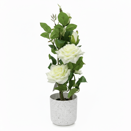 Marcolo Artificial White Rose Bonsai Plant with Speckled Plastic Pot - 40cm - Al Kabayel Discount CentreMarcolo Artificial White Rose Bonsai Plant with Speckled Plastic Pot - 40cmArtificial FloraMARCOLAAl Kabayel Discount Centre