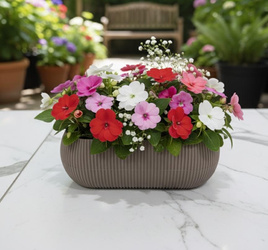 MERCAN Coral Long Brown Plastic Plant Pot 0.55L – Rectangular Decorative Planter Box for Tabletops, Window Sills, or Office Spaces - Al Kabayel Discount CentreMERCAN Coral Long Brown Plastic Plant Pot 0.55L – Rectangular Decorative Planter Box for Tabletops, Window Sills, or Office SpacesFlower/Plant PotsMERCANAl Kabayel Discount Centre