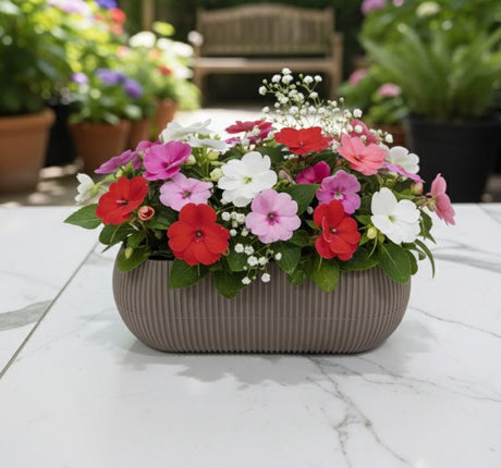 MERCAN Coral Long Brown Plastic Plant Pot 0.55L – Rectangular Decorative Planter Box for Tabletops, Window Sills, or Office Spaces - Al Kabayel Discount CentreMERCAN Coral Long Brown Plastic Plant Pot 0.55L – Rectangular Decorative Planter Box for Tabletops, Window Sills, or Office SpacesFlower/Plant PotsMERCANAl Kabayel Discount Centre