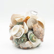Mixed Decorative Seashells & Stones – 100g Net Bag - Al Kabayel Discount CentreMixed Decorative Seashells & Stones – 100g Net BagStonesAKDCAl Kabayel Discount Centre