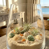 Mixed Decorative Seashells & Stones – 100g Net Bag - Al Kabayel Discount CentreMixed Decorative Seashells & Stones – 100g Net BagStonesAKDCAl Kabayel Discount Centre