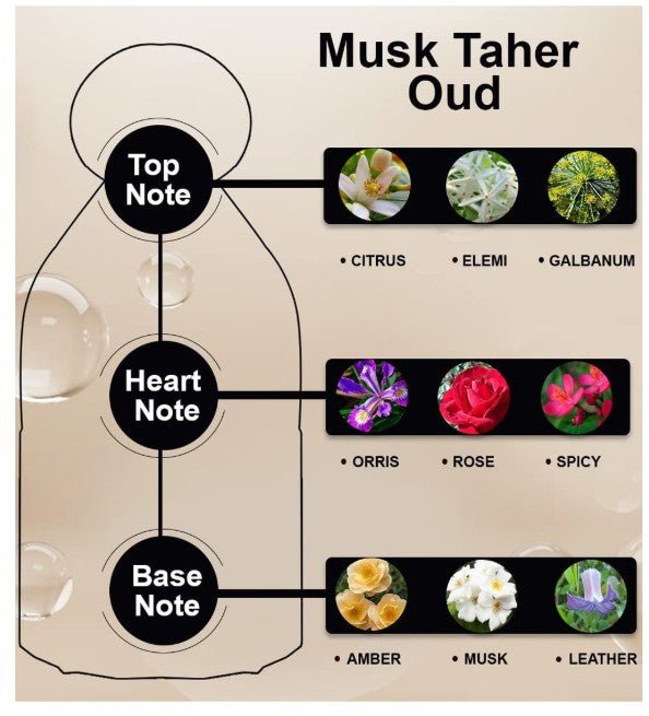 My Perfume Water Musk Taher Oud - 80ML - Al Kabayel Discount CentreMy Perfume Water Musk Taher Oud - 80MLPerfumesMY PERFUMESAl Kabayel Discount Centre
