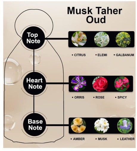 My Perfume Water Musk Taher Oud - 80ML - Al Kabayel Discount CentreMy Perfume Water Musk Taher Oud - 80MLPerfumesMY PERFUMESAl Kabayel Discount Centre