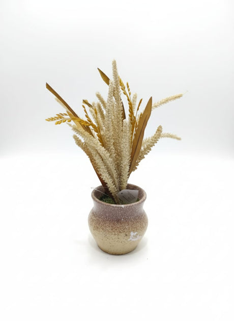 Next Rose Artificial Greenery Plant - Lush Leaves in Ceramic Pot, Enhances Indoor Air Quality Feel Without Care, 35 cm," - Lush polystyrene foam leaves for greenery illusion. - Al Kabayel Discount CentreNext Rose Artificial Greenery Plant - Lush Leaves in Ceramic Pot, Enhances Indoor Air Quality Feel Without Care, 35 cm," - Lush polystyrene foam leaves for greenery illusion.Artificial FloraNEXTROSEAl Kabayel Discount Centre