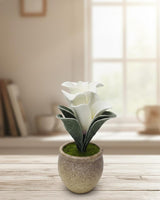 Next Rose Artificial White Flower with Pot - Polystyrene Foam Material, Elegant and Versatile for Any Room, 24 cm," - Crafted from polystyrene foam with clean white petals for versatility. - Al Kabayel Discount CentreNext Rose Artificial White Flower with Pot - Polystyrene Foam Material, Elegant and Versatile for Any Room, 24 cm," - Crafted from polystyrene foam with clean white petals for versatility.Artificial FloraNEXTROSEAl Kabayel Discount Centre