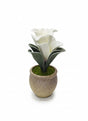 Next Rose Artificial White Flower with Pot - Polystyrene Foam Material, Elegant and Versatile for Any Room, 24 cm," - Crafted from polystyrene foam with clean white petals for versatility. - Al Kabayel Discount CentreNext Rose Artificial White Flower with Pot - Polystyrene Foam Material, Elegant and Versatile for Any Room, 24 cm," - Crafted from polystyrene foam with clean white petals for versatility.Artificial FloraNEXTROSEAl Kabayel Discount Centre