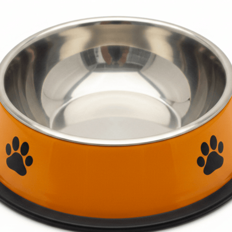 Orange & Silver Stainless Steel Pet Feeding Bowl - 18cm - Al Kabayel Discount CentreOrange & Silver Stainless Steel Pet Feeding Bowl - 18cmPet SuppliesAKDCAl Kabayel Discount Centre