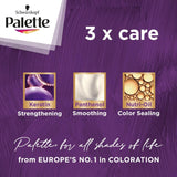 Palette Intensive 3.0 Color Cream Dark Brown - Al Kabayel Discount CentrePalette Intensive 3.0 Color Cream Dark BrownHair CarePALETTEAl Kabayel Discount Centre