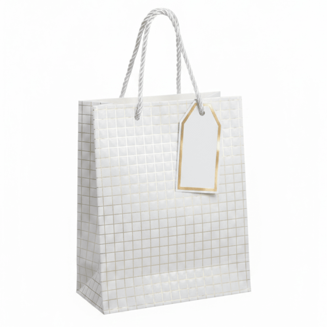 Paper Gift Bag with Rope Handles & Gift Tag | 23×18cm | Elegant Packaging for Birthdays, Weddings, Celebrations & Special Occasions - Al Kabayel Discount CentrePaper Gift Bag with Rope Handles & Gift Tag | 23×18cm | Elegant Packaging for Birthdays, Weddings, Celebrations & Special OccasionsPacking & Wrapping SuppliesAKDCAl Kabayel Discount Centre